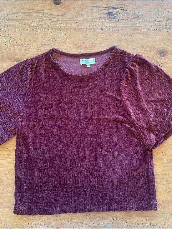 Madewell Tops - Madewell Wine Velvet Short Sleeve Tee